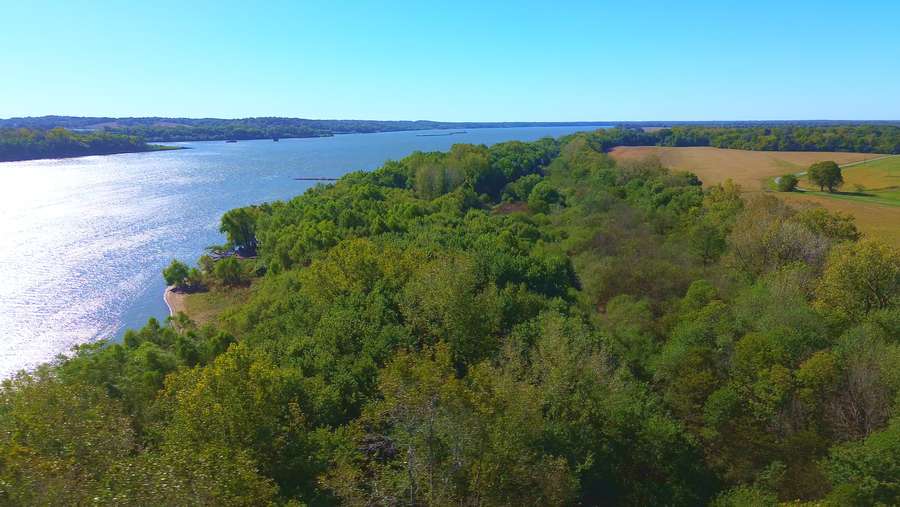 Hunt IL & KY on 90 acre tract